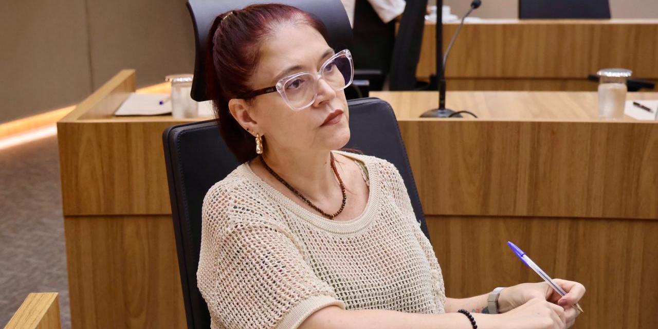 Claudia Alonso propõe que informações oficiais sejam claras a todos
