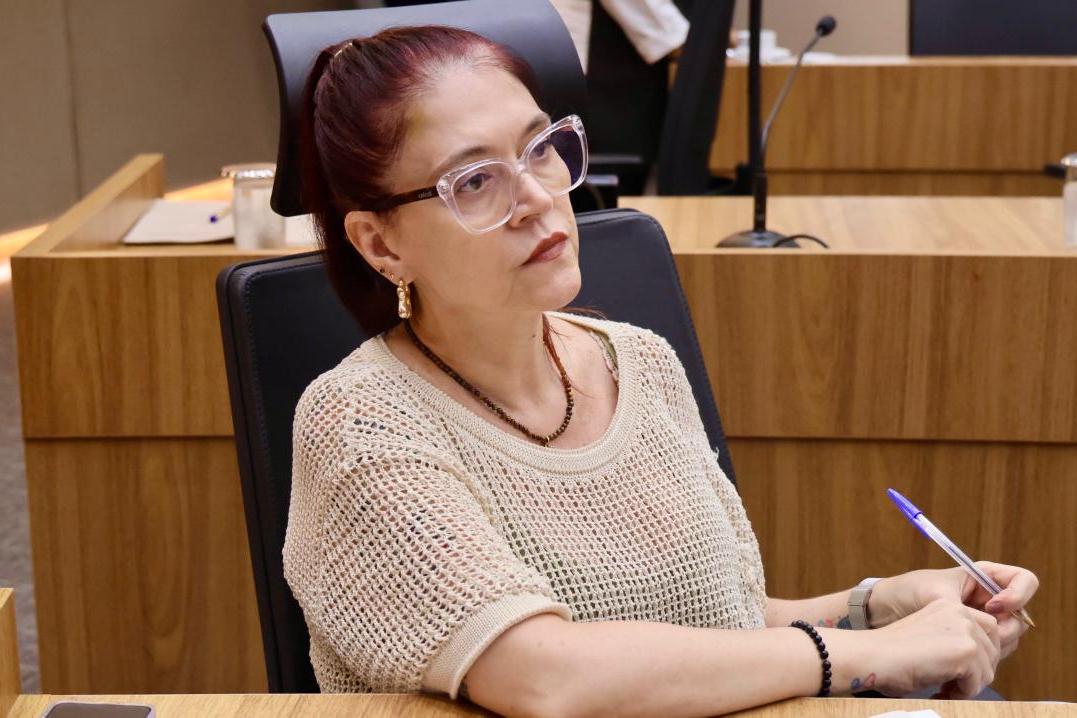 Claudia Alonso propõe que informações oficiais sejam claras a todos