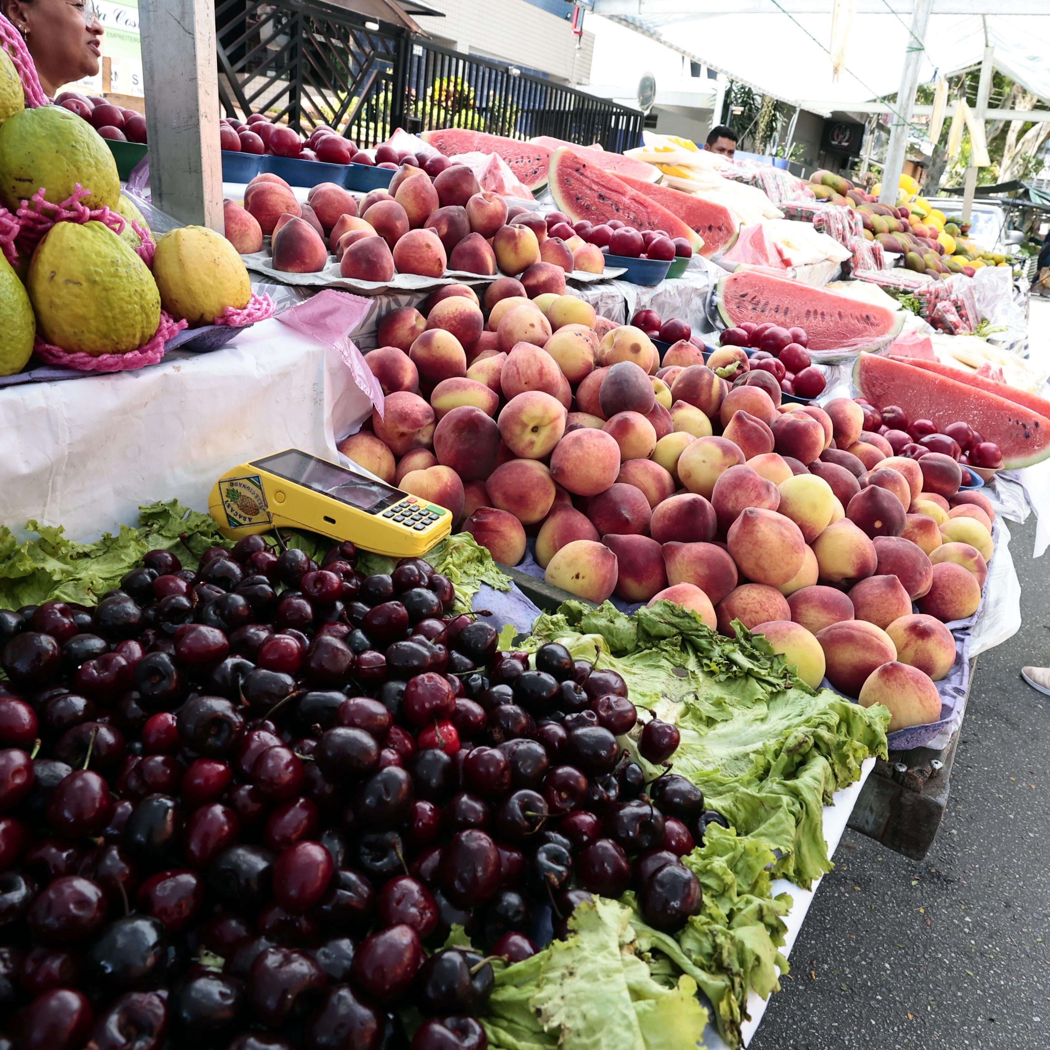 Entre os motivos, ausência prolongada sem justificativa, subarrendamento irregular e infrações repetidas