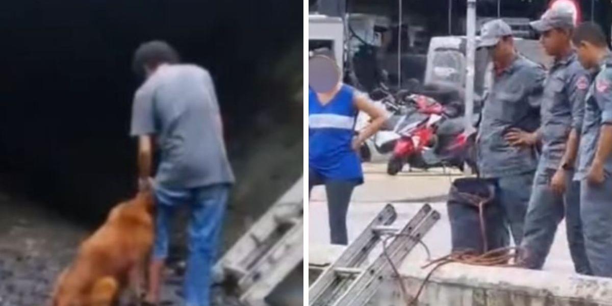 Cão foi resgatado pelos bombeiros e deixado em local seguro