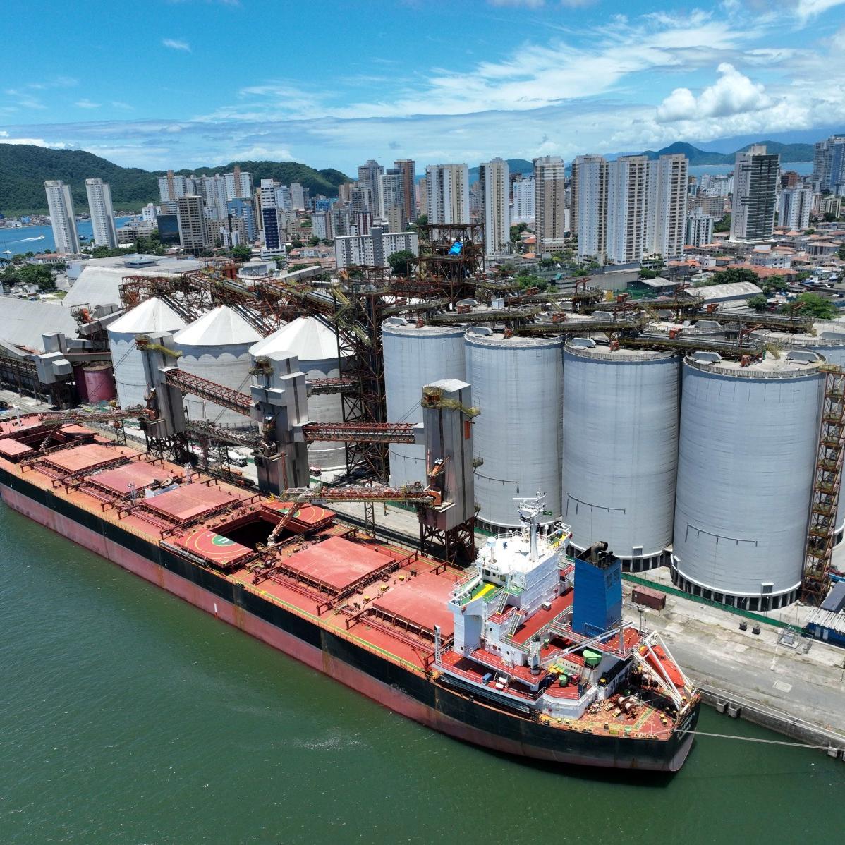 O avanço do Porto foi impulsionado principalmente pelo complexo soja