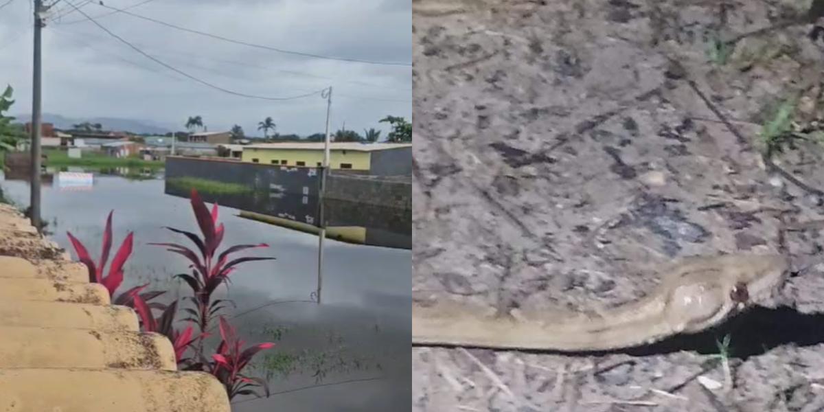 Não é a primeira vez que a rua fica alagada a ponto de impedir a circulação, segundo a moradora