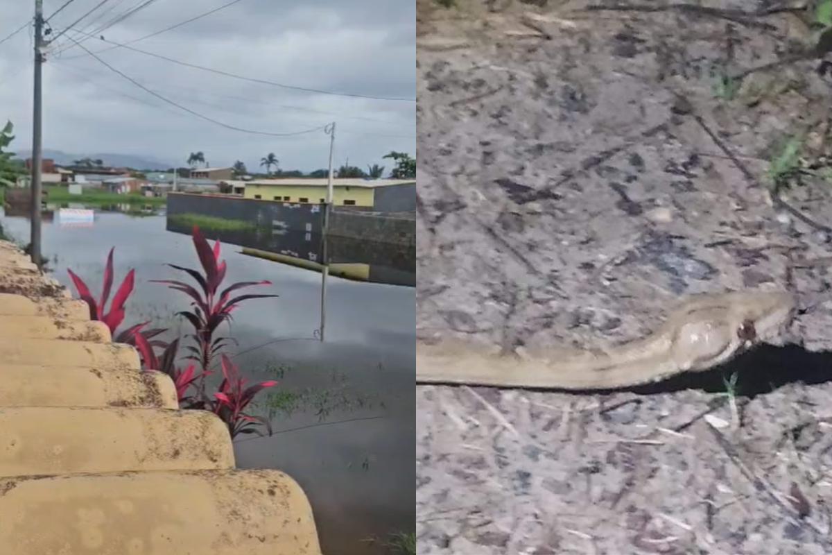 Não é a primeira vez que a rua fica alagada a ponto de impedir a circulação, segundo a moradora