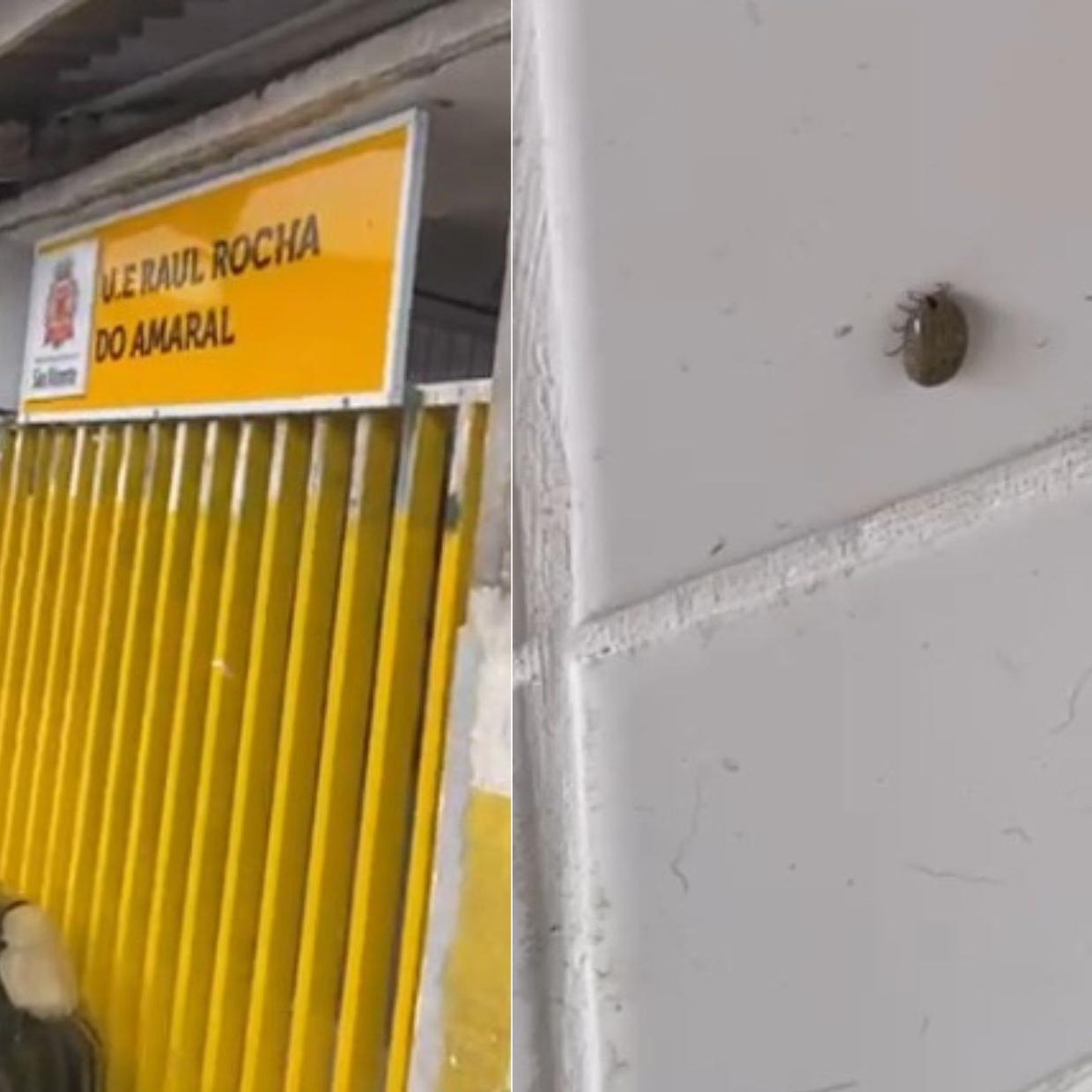 Segundo ela, durante visita, à escola, observou grande quantidade de carrapatos no local