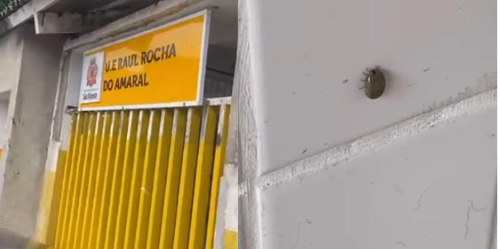 Segundo ela, durante visita, à escola, observou grande quantidade de carrapatos no local