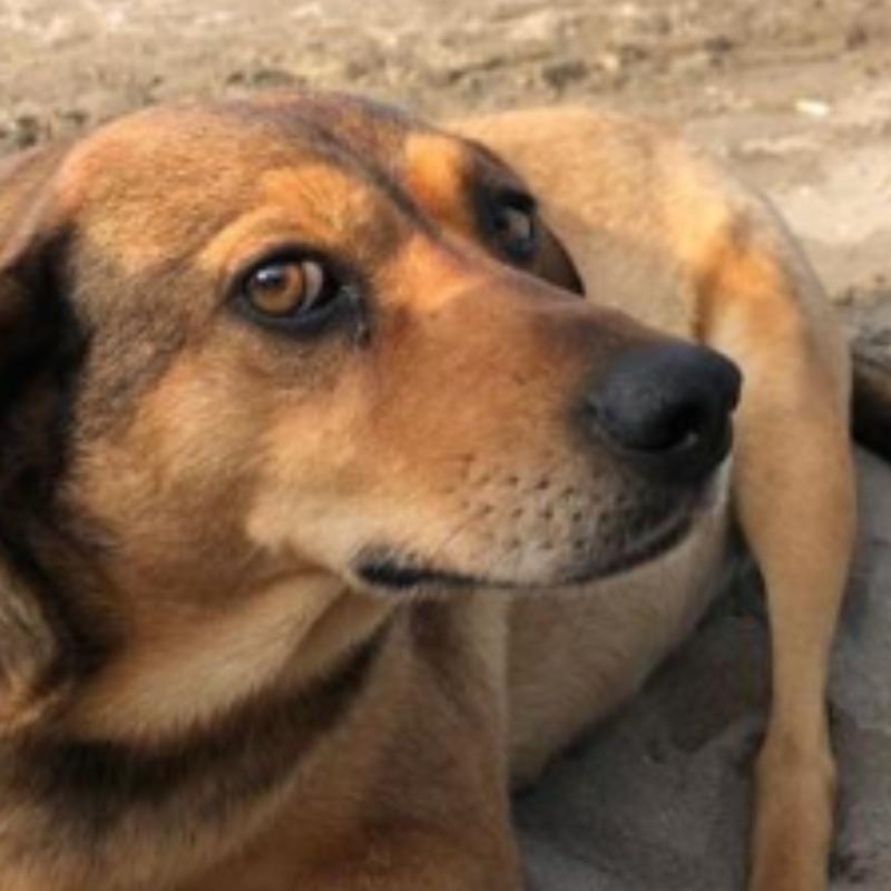 O espaço ficará na Praia do Itararé, integrando o programa "São Vicente de Cara Nova".