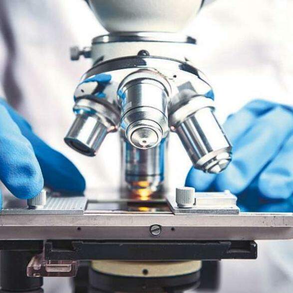 Debate mostra a importância da validação científica e seu processo