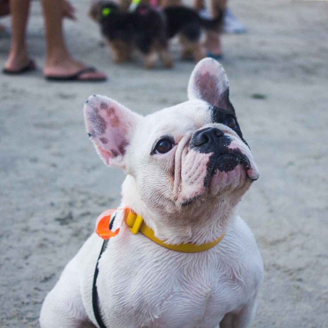 O projeto foi elaborado pela Secretaria de Desenvolvimento Urbano (Sedurb) e faz parte do pacote de investimentos turísticos do programa “São Vicente de Cara Nova”