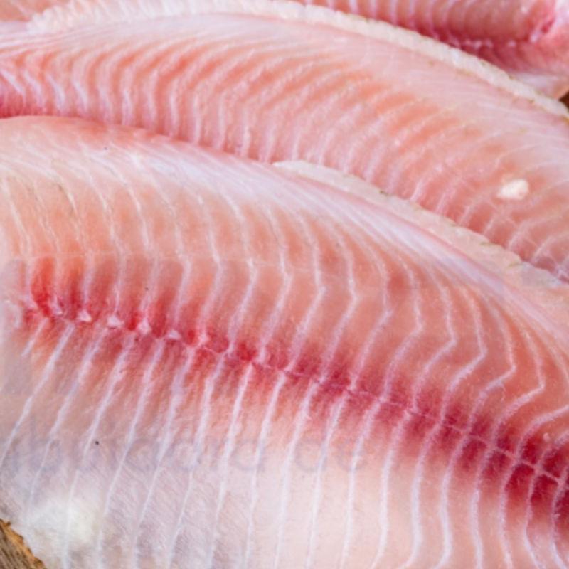 A proposta também pretende fortalecer a cadeia produtiva da tilápia brasileira, considerada uma das mais estruturadas do agronegócio nacional