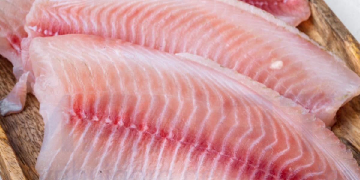 A proposta também pretende fortalecer a cadeia produtiva da tilápia brasileira, considerada uma das mais estruturadas do agronegócio nacional