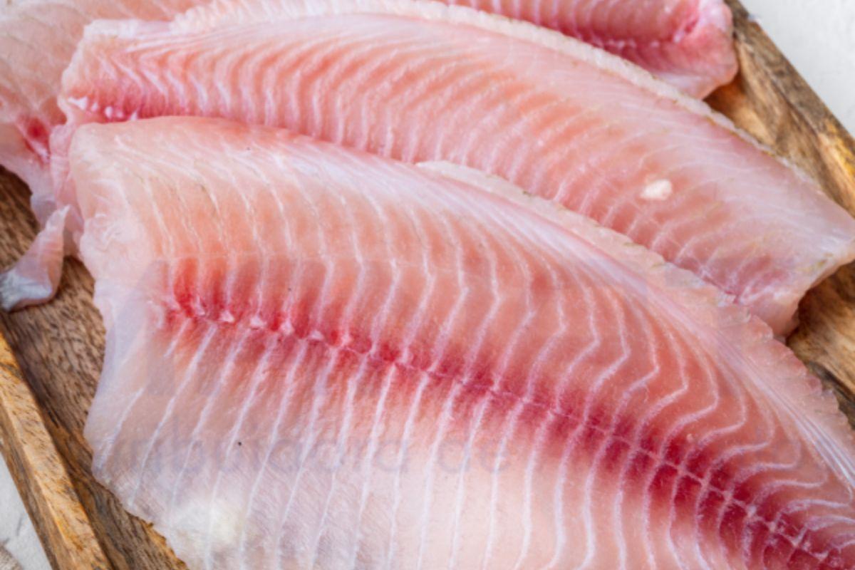 A proposta também pretende fortalecer a cadeia produtiva da tilápia brasileira, considerada uma das mais estruturadas do agronegócio nacional