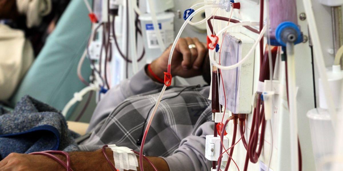 Dia Mundial do Rim é comemorado nesta quinta-feira (12)