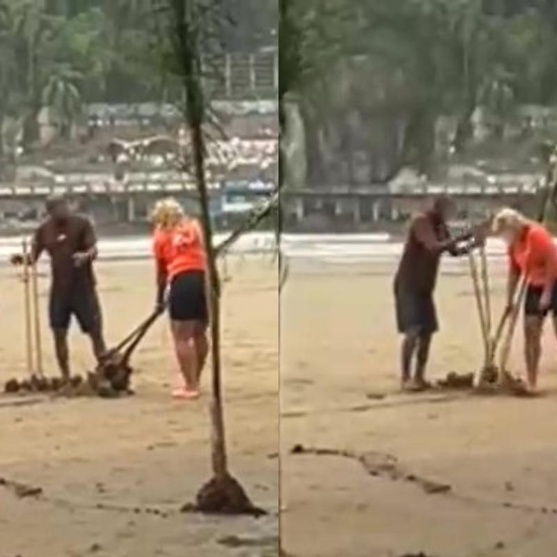 Pessoas foram vistas removendo coqueiros na praia do Itararé