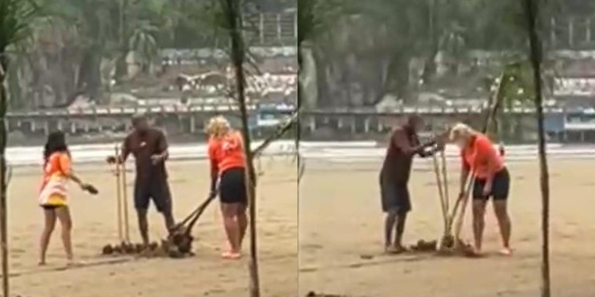 Pessoas foram vistas removendo coqueiros na praia do Itararé