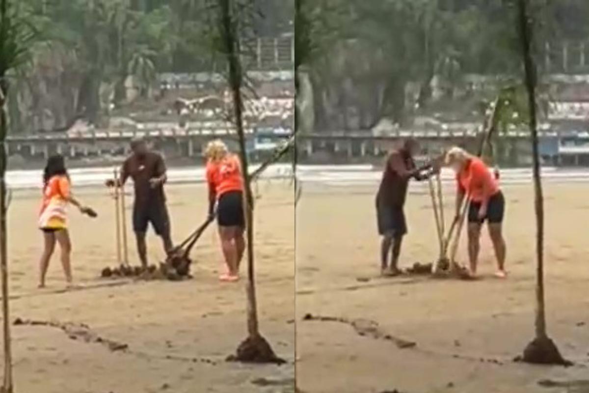 Pessoas foram vistas removendo coqueiros na praia do Itararé