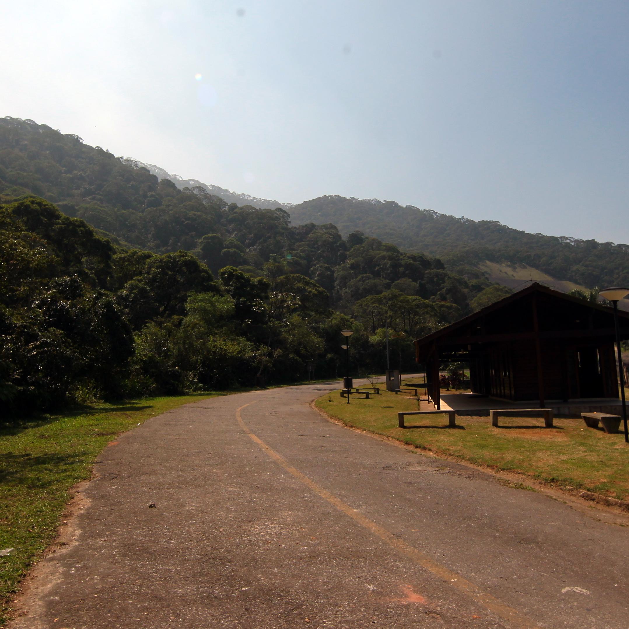Homem confessa ter matado ex-mulher e escondido corpo na beira da estrada em SP