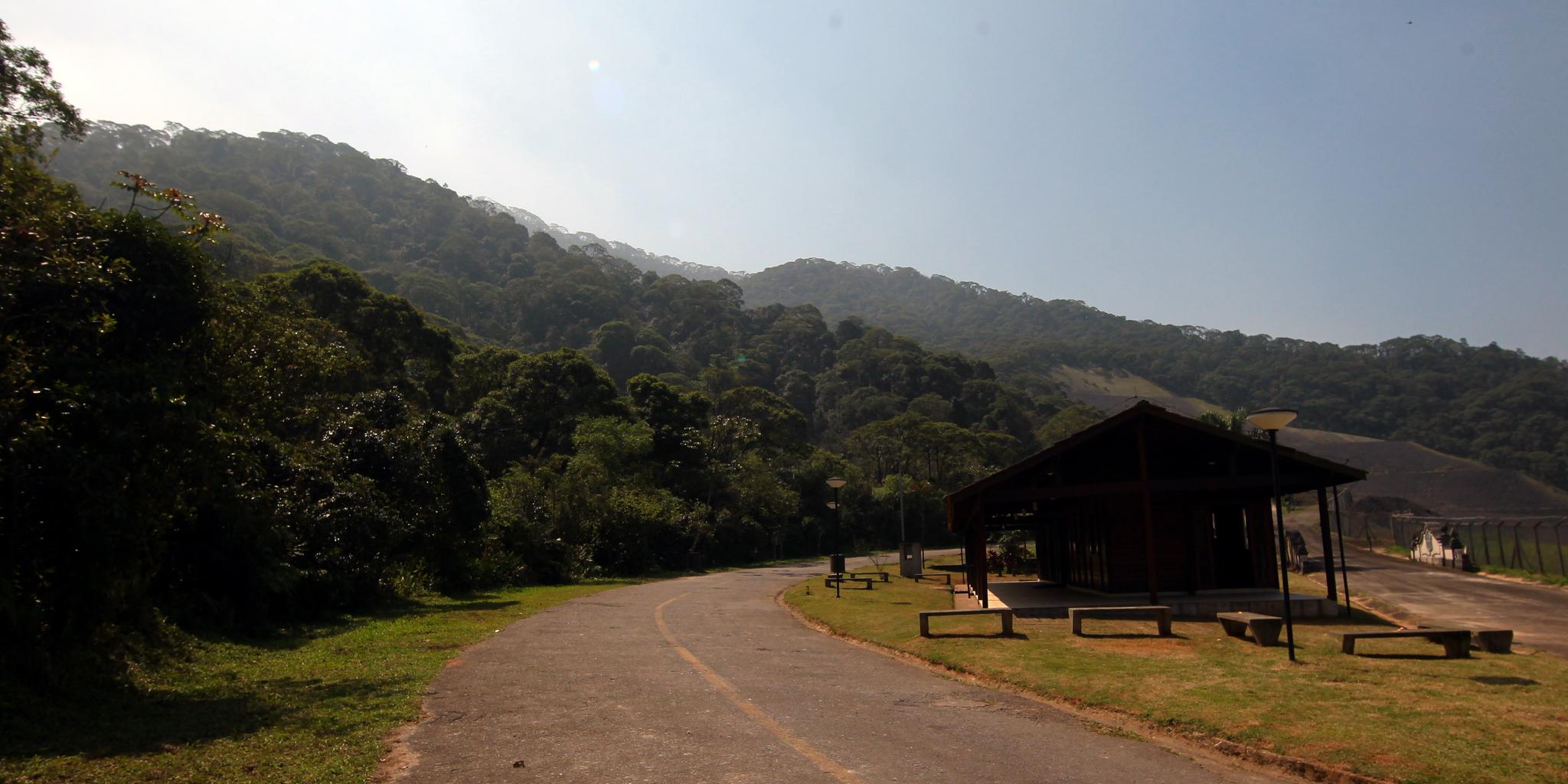 Homem confessa ter matado ex-mulher e escondido corpo na beira da estrada em SP