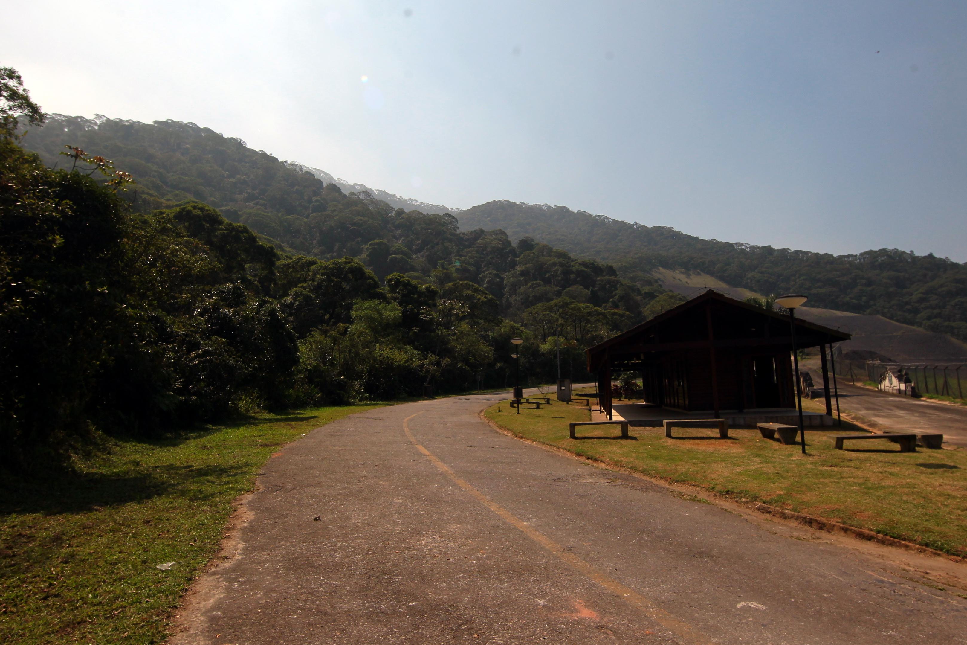 Homem confessa ter matado ex-mulher e escondido corpo na beira da estrada em SP