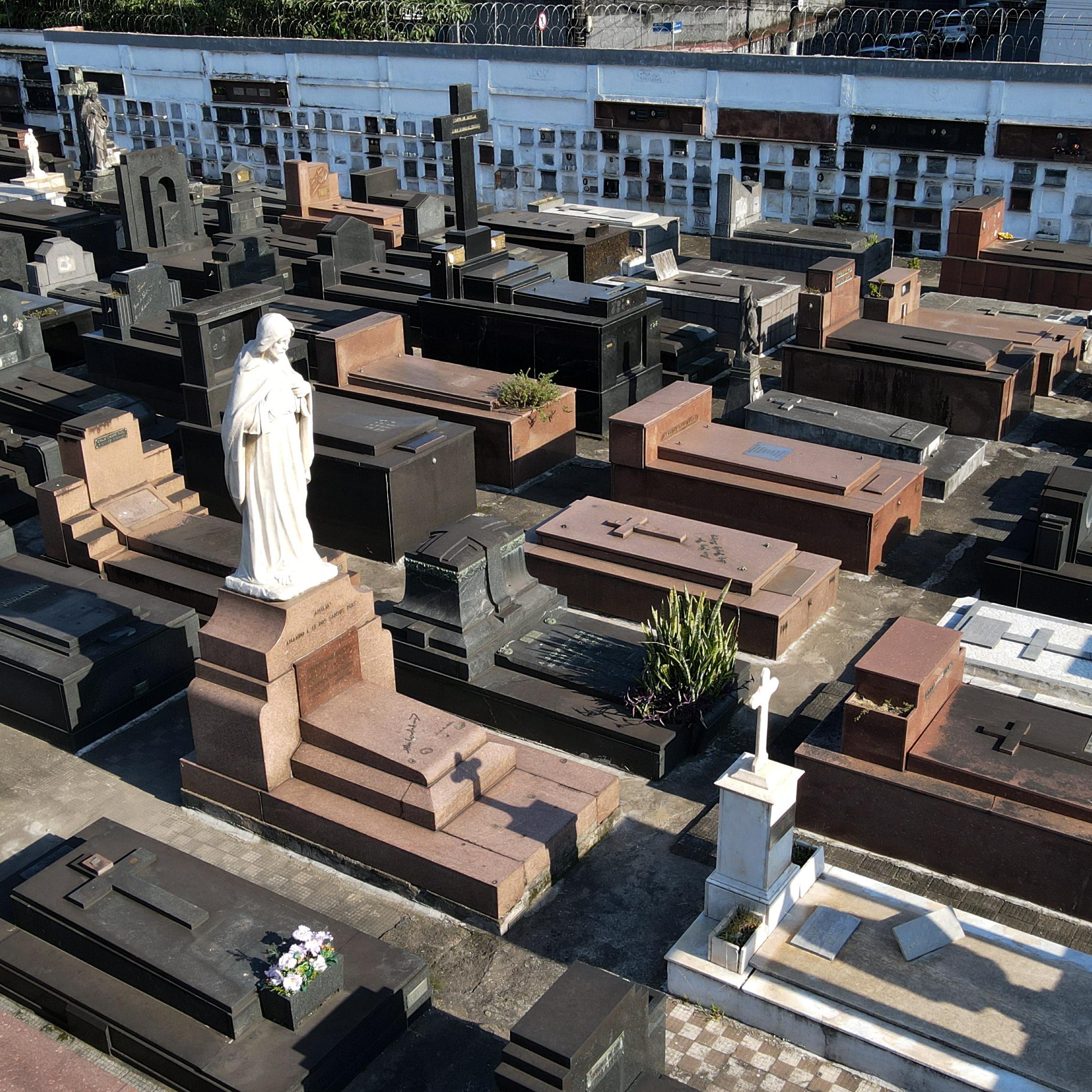 Preço será definido por decreto e dependerá do porte do animal