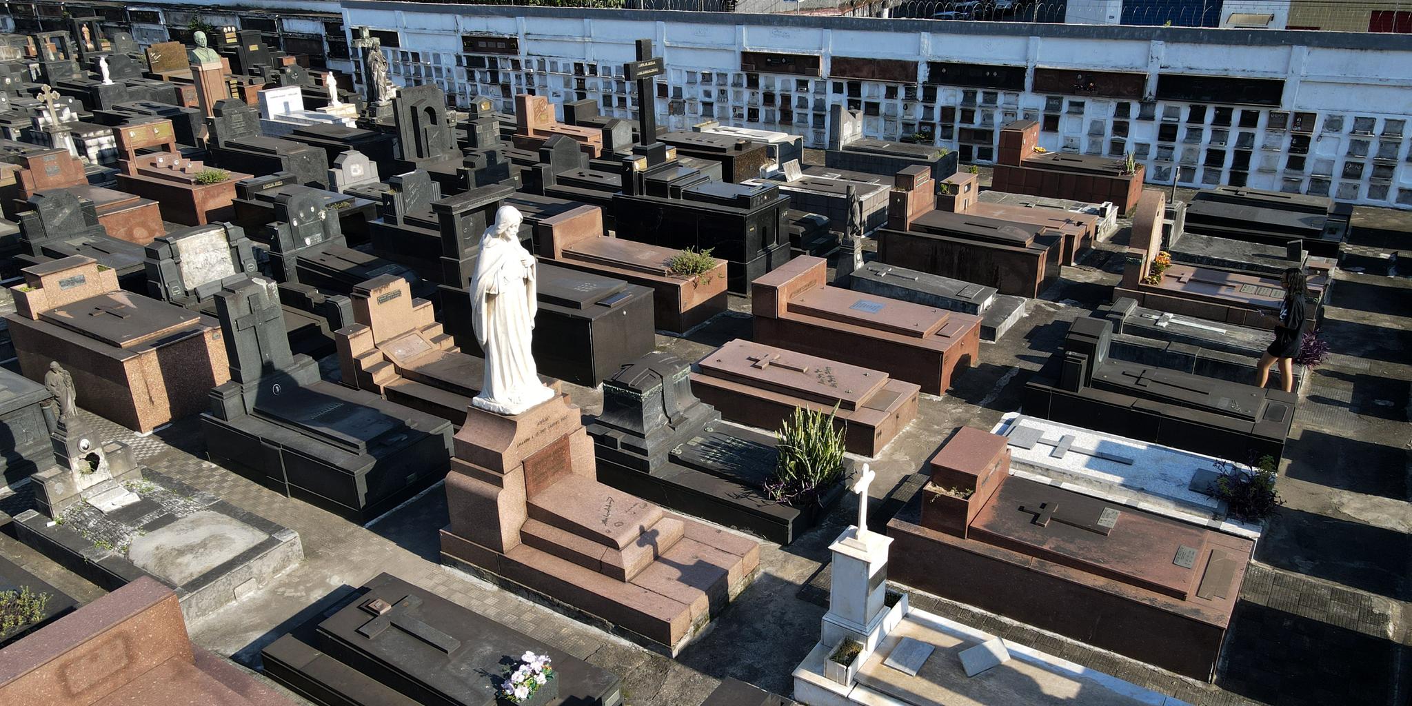 Preço será definido por decreto e dependerá do porte do animal