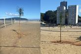 Coqueiros foram plantados dentro de quadras de beach tennis