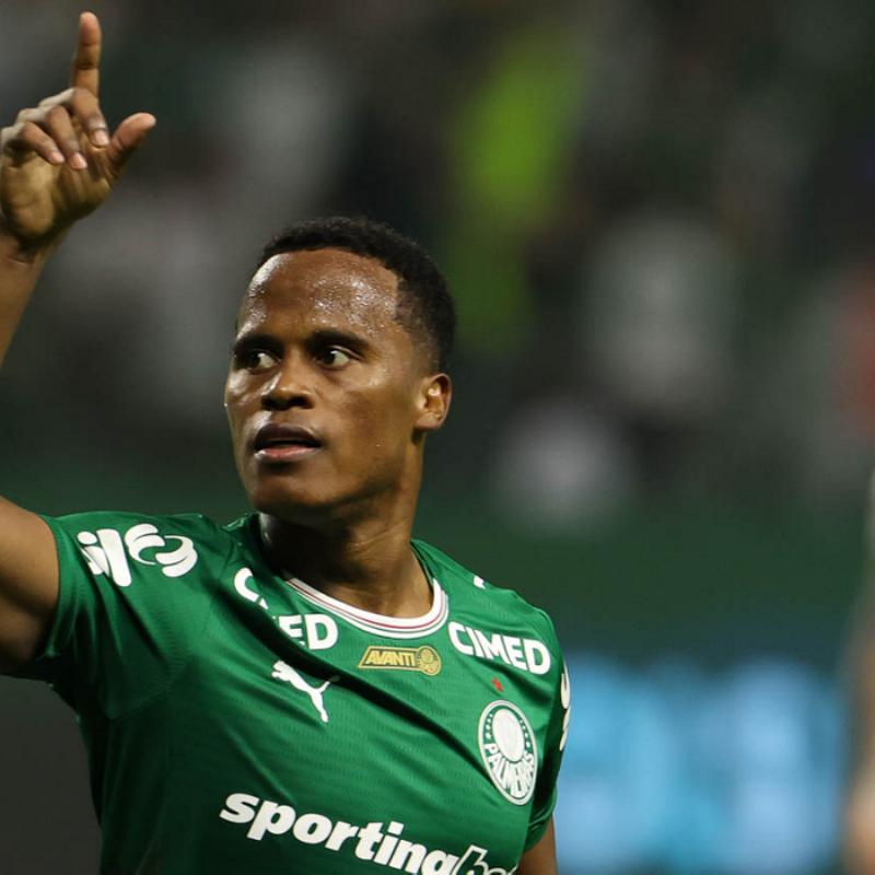 Palmeiras derrota Botafogo e assume liderança do Campeonato Brasileiro