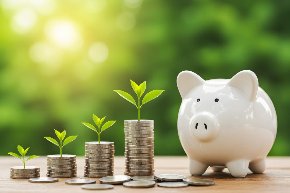 7 bilhões de reais foram mobilizados pelo BNDES desde 2023 em projetos de conservação, recuperação e manejo de florestas