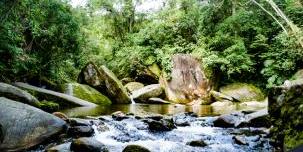 O Poço das Antas conta com trilhas, cachoeira e piscina natural
