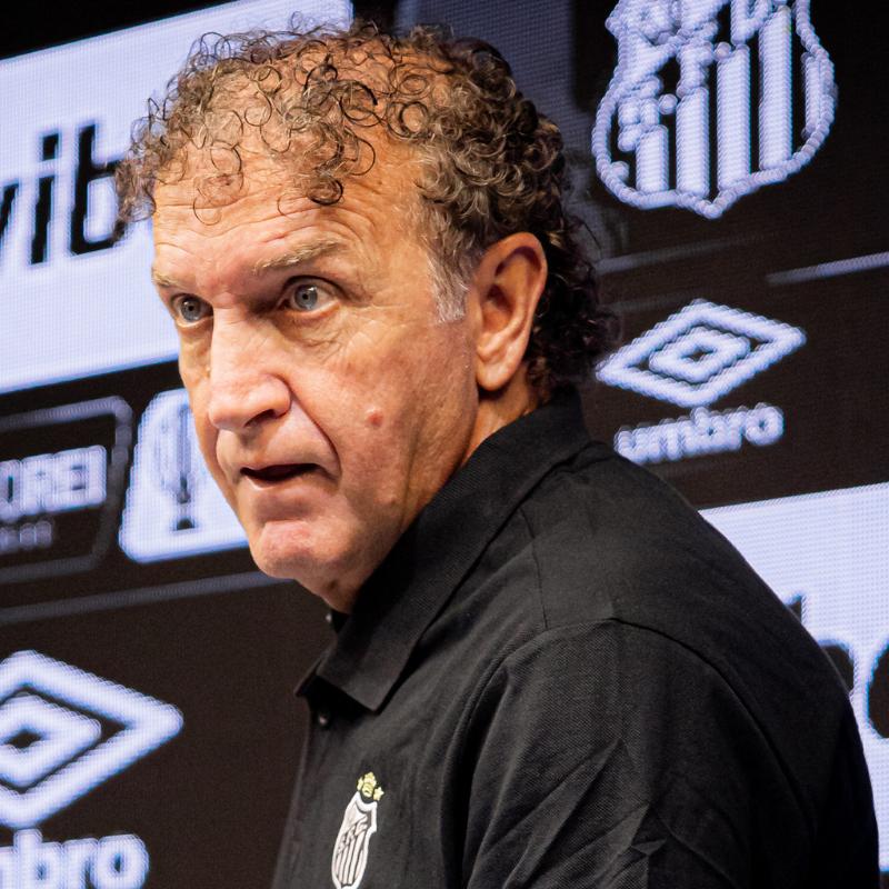 "Não entendo até agora por que o gol foi anulado. No máximo estava na mesma linha", afirma