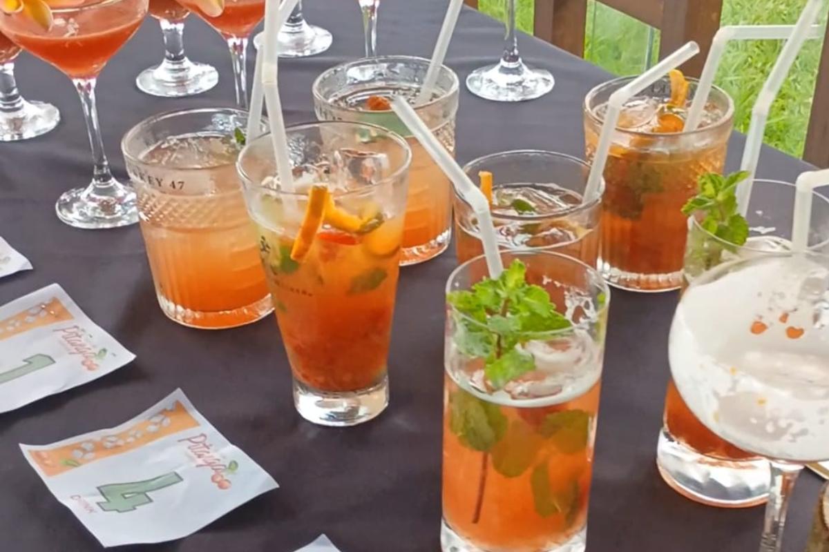 Com entrada gratuita, a programação começa às 18 horas, no Centro de Convenções do Casa Grande Hotel