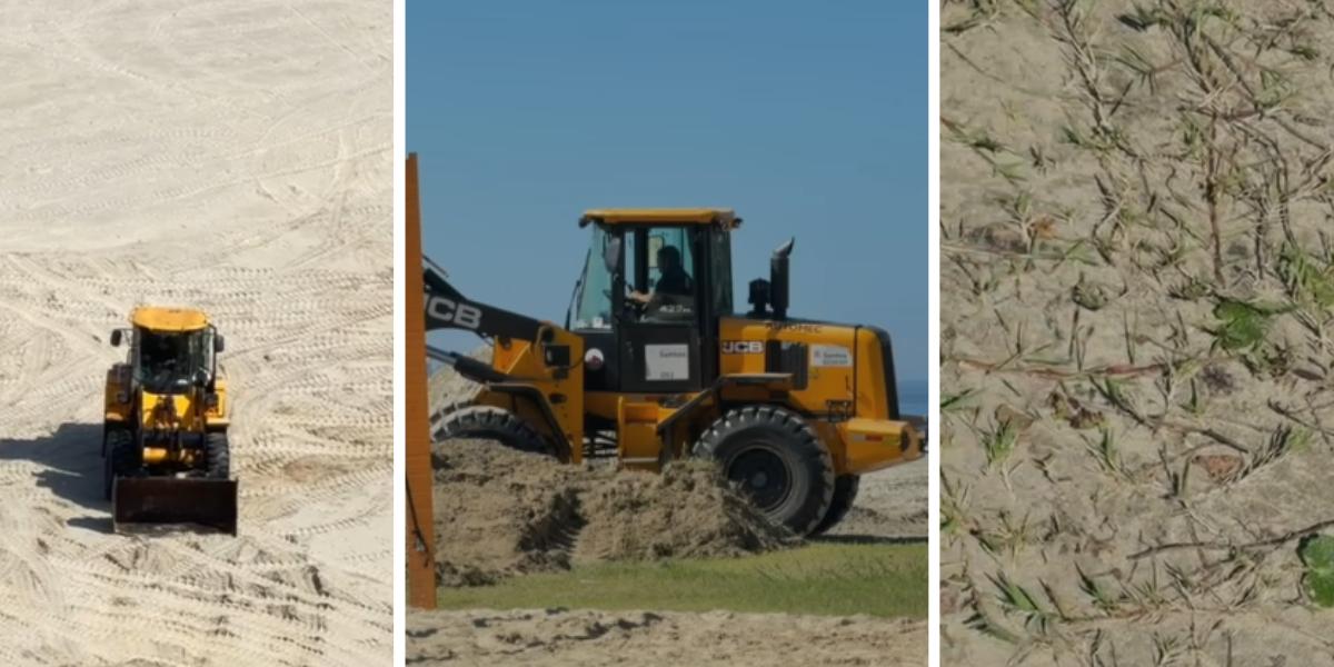 A munícipe relatou que, ao sair de seu prédio e ir até a praia, se deparou com a cena