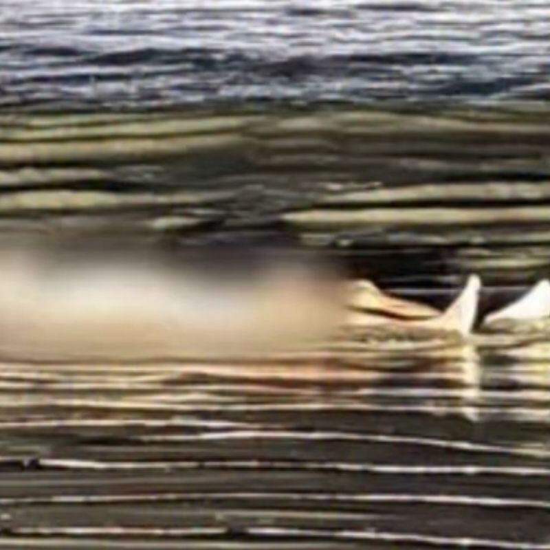 Corpo foi encontrado na Praia do Indaiá, em Bertioga