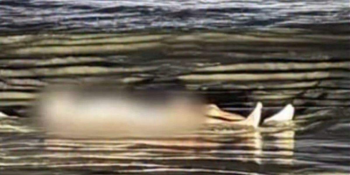 Corpo foi encontrado na Praia do Indaiá, em Bertioga