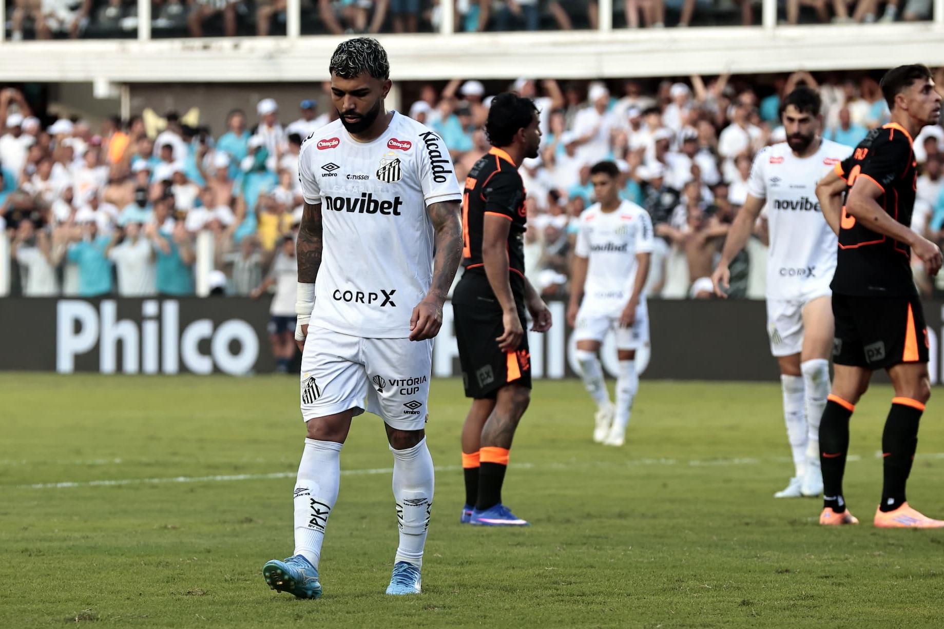 Gabigol é o artilheiro do Santos nesta temporada, com sete gols em 12 jogos