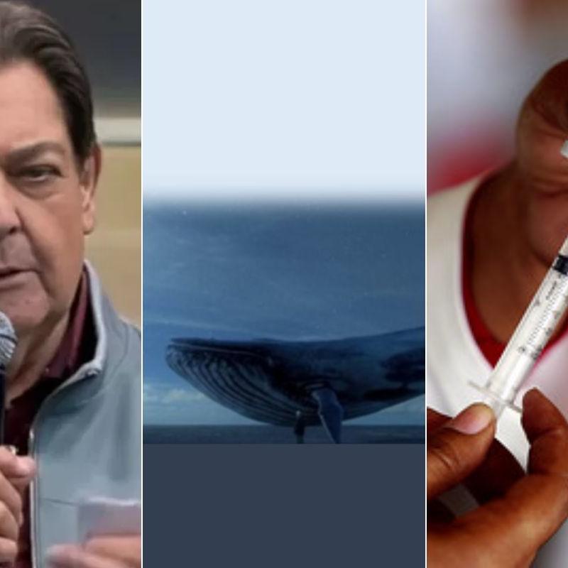 A morte do Faustão, boatos sobre o jogo baleia azul e as vacinas do Covid foram motivos de fake news