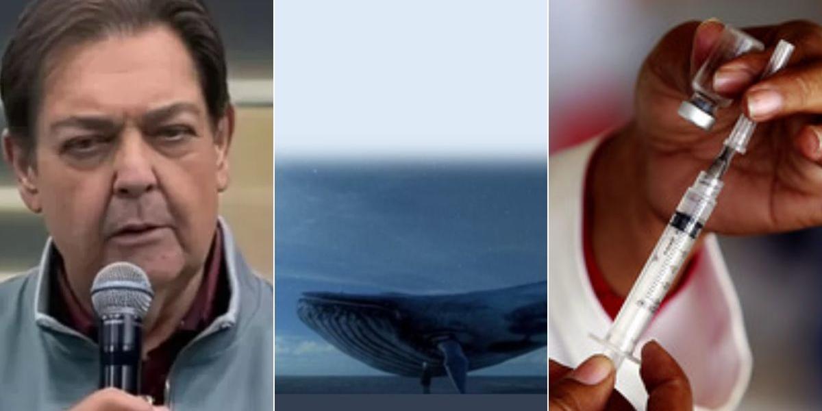 A morte do Faustão, boatos sobre o jogo baleia azul e as vacinas do Covid foram motivos de fake news