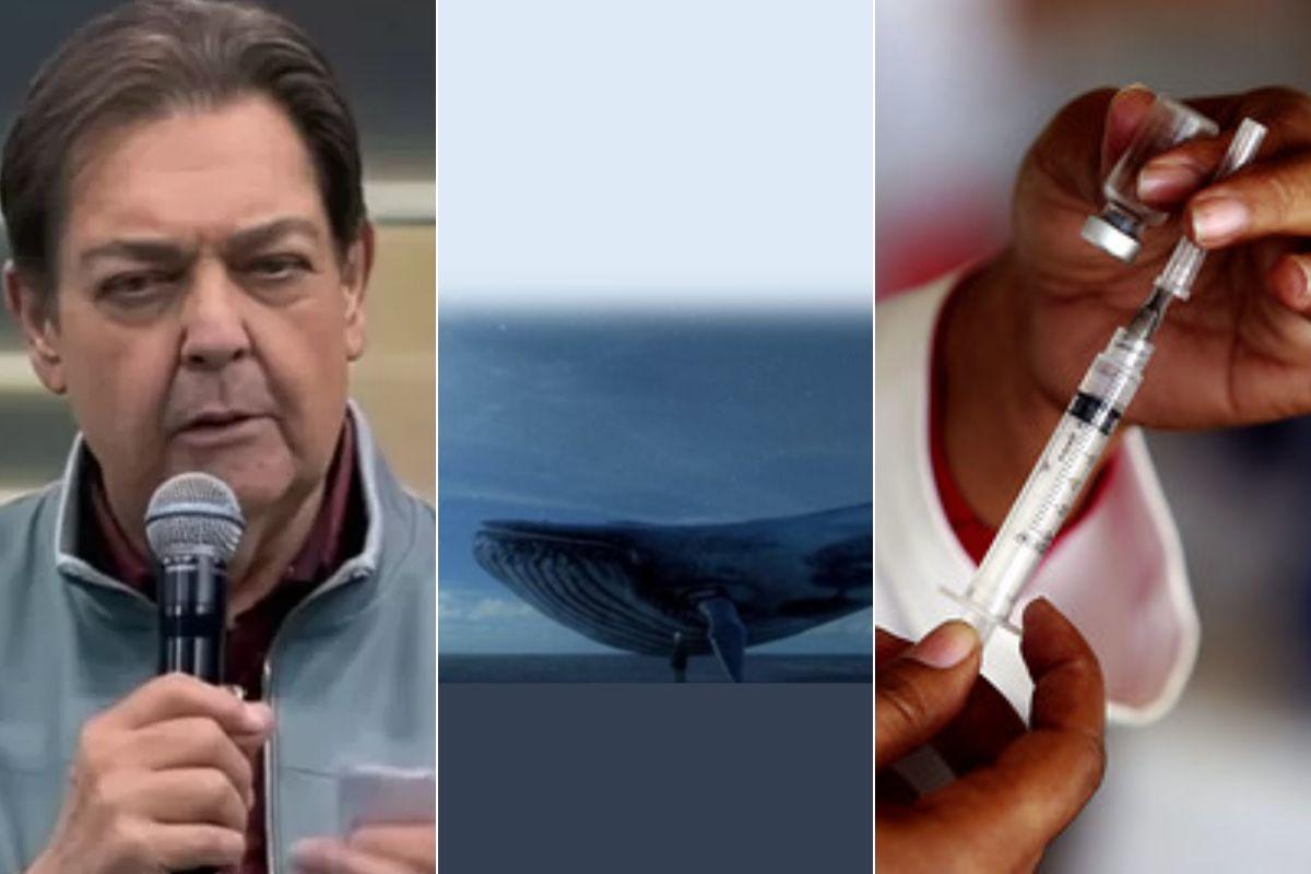 A morte do Faustão, boatos sobre o jogo baleia azul e as vacinas do Covid foram motivos de fake news