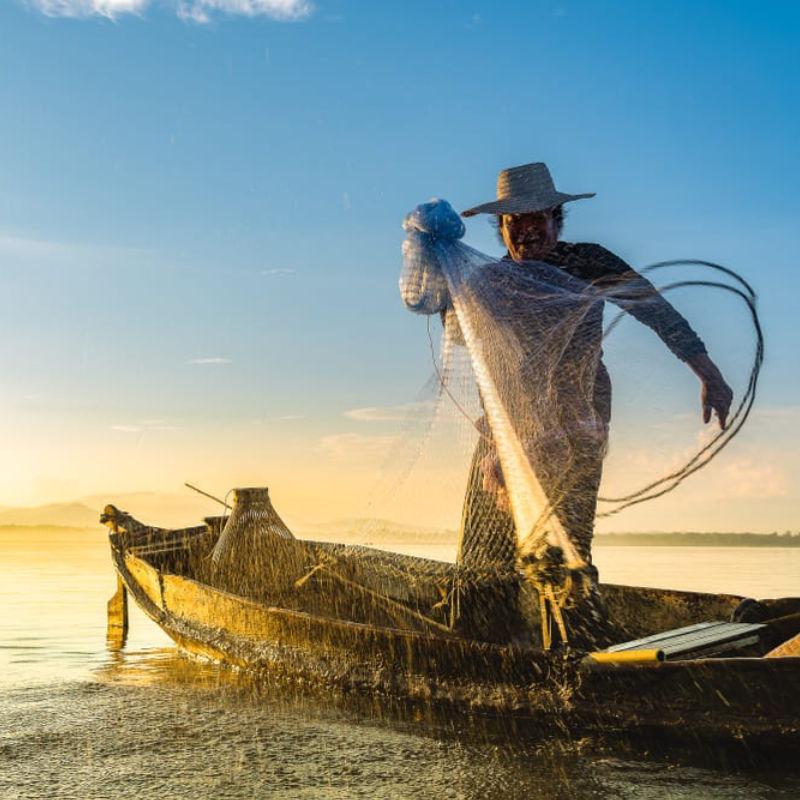 Senado aprova MP que altera regras do seguro-defeso com alterações; texto volta à Câmara 