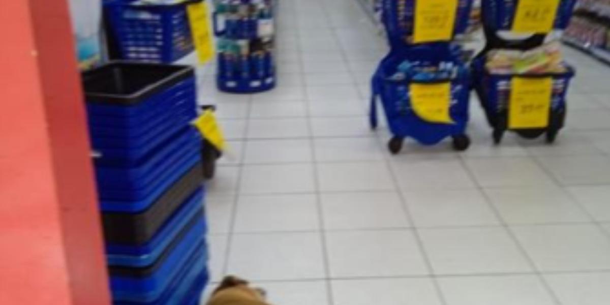 Presença de cão em farmácia iniciou situação relatada por moradora