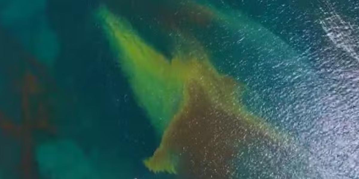 A mancha voltou a atingir as águas do litoral e foi registrada