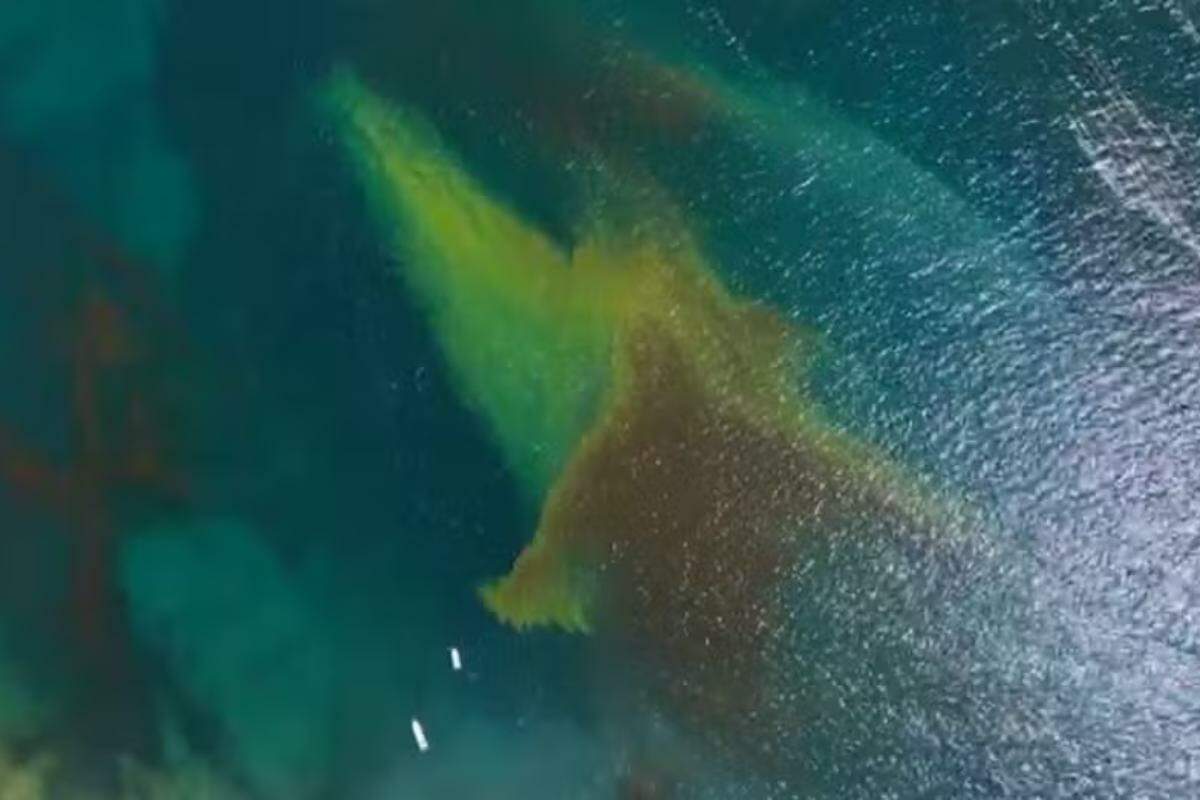 A mancha voltou a atingir as águas do litoral e foi registrada