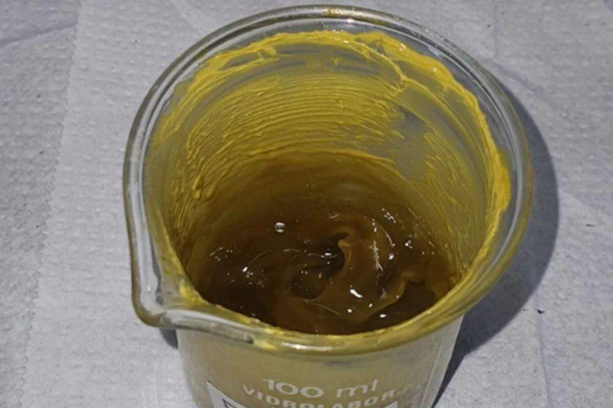 Pesquisadores identificaram substâncias importantes, como ácidos amargos, óleos essenciais e, principalmente, polifenóis,  compostos com forte ação antioxidante