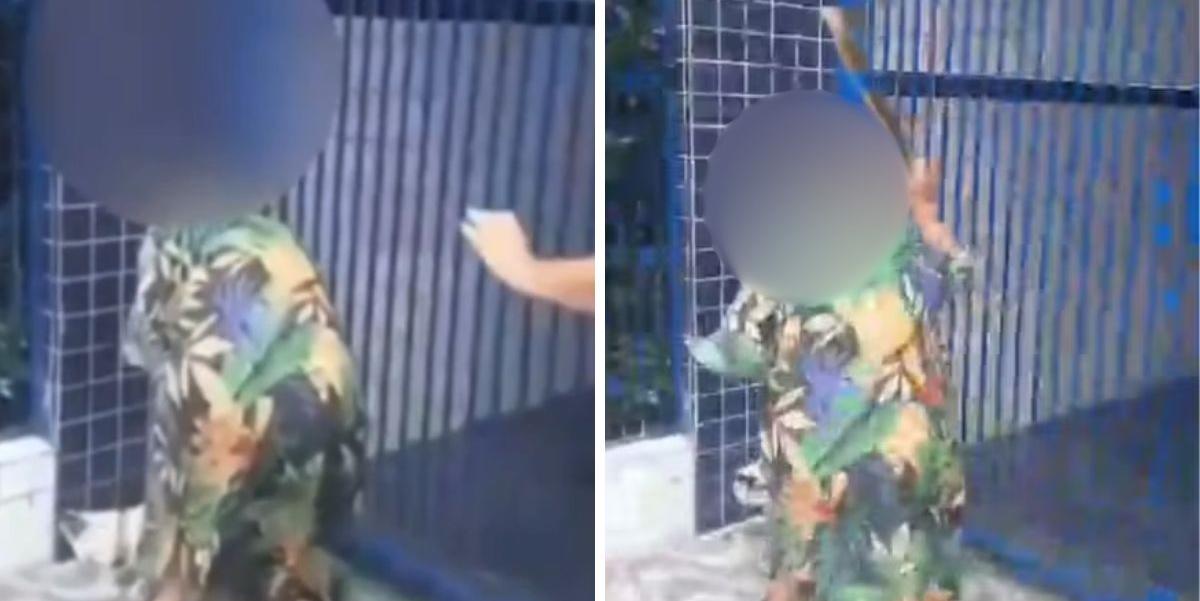 A tutora foi flagrada agredindo cadela em frente a escola de Praia Grande