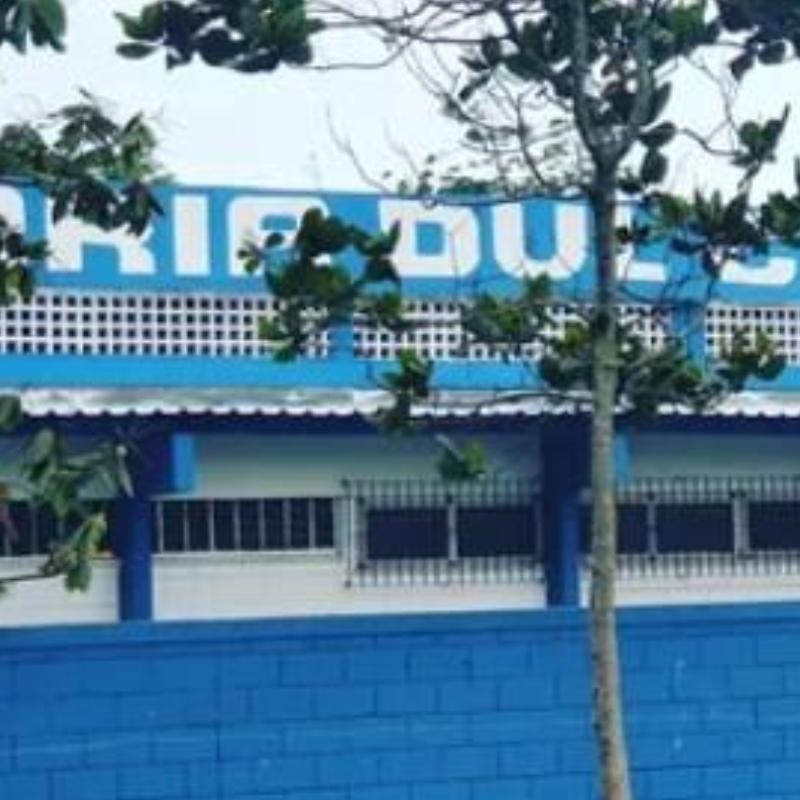 Mãe relata bullying contra aluna e reclama de negligência da direção de escola de SV