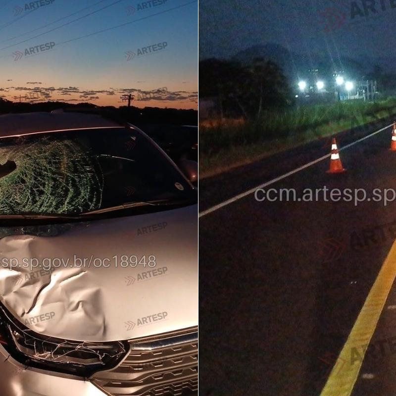 Atropelamento ocorreu na Rodovia Padre Manoel da Nóbrega, em Peruíbe