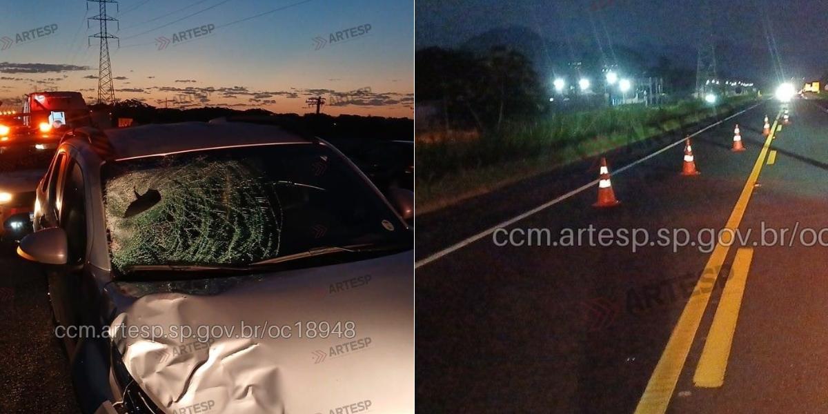 Atropelamento ocorreu na Rodovia Padre Manoel da Nóbrega, em Peruíbe