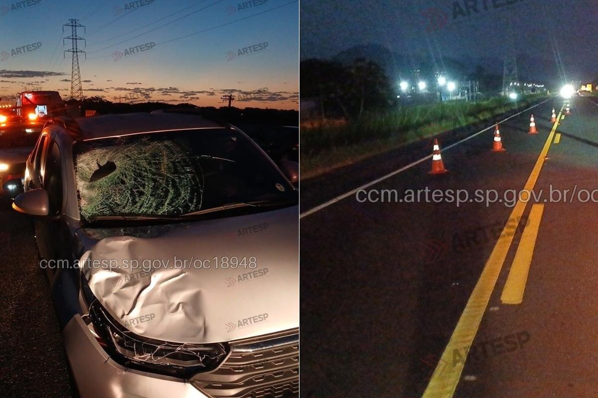 Atropelamento ocorreu na Rodovia Padre Manoel da Nóbrega, em Peruíbe