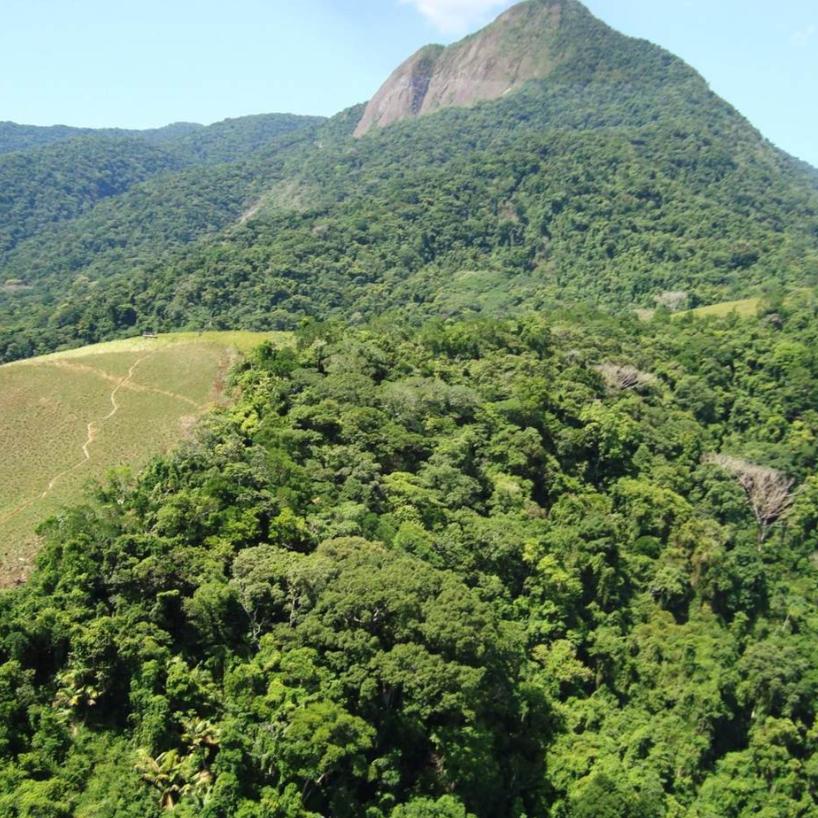 Ao longo do trajeto, o visitante pode observar diversas espécies da fauna local, além de desfrutar da experiência de estar rodeado da mais pura Mata Atlântica