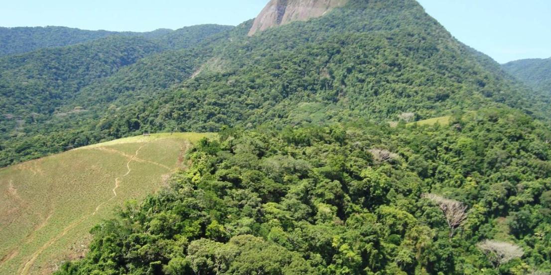 Ao longo do trajeto, o visitante pode observar diversas espécies da fauna local, além de desfrutar da experiência de estar rodeado da mais pura Mata Atlântica