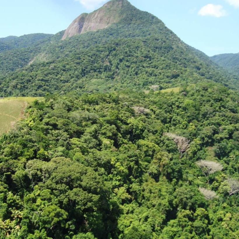 Ao longo do trajeto, o visitante pode observar diversas espécies da fauna local, além de desfrutar da experiência de estar rodeado da mais pura Mata Atlântica